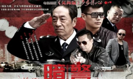 电视剧暗警,潜伏与救赎的生死较量